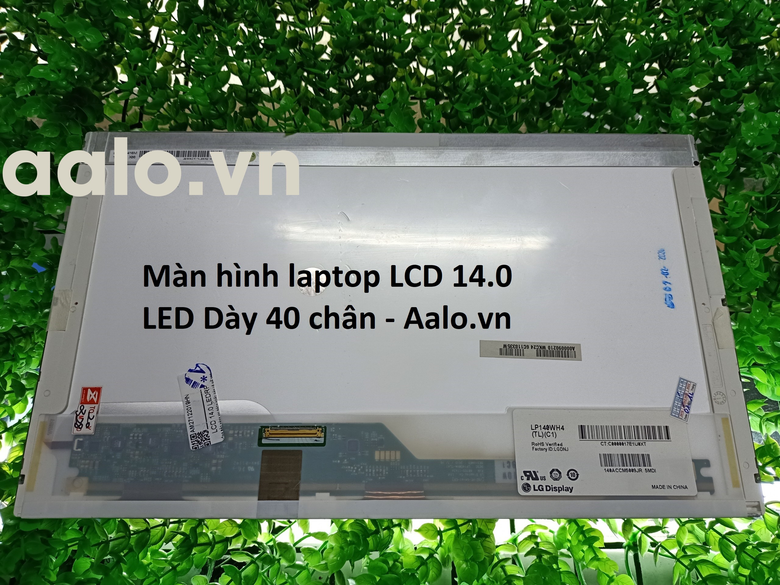 Màn hình Laptop Dell Latitude P15G
